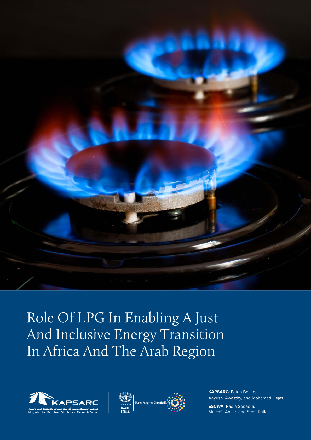 Role of LPG in enabling a just and inclusive energy transition