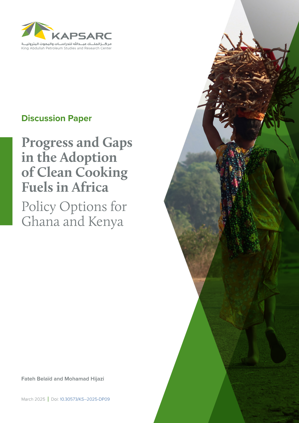 Progress and Gaps in Clean Cooking Fuels
